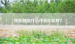 现在创业什么行业比较好？