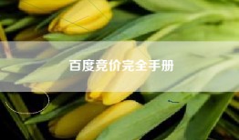 百度竞价完全手册