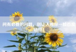 问有必要的问题，别让人甩你一脸百度链接！