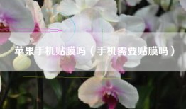 苹果手机贴膜吗（手机需要贴膜吗）