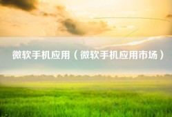 微软手机应用（微软手机应用市场）