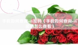手机如何查询wifi密码(手机如何查询wifi密码怎么查看)