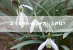 请问湾仔码头饺子为什么这样？