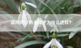 请问湾仔码头饺子为什么这样？