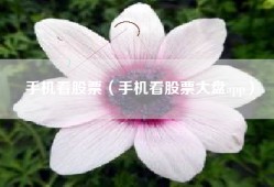 手机看股票（手机看股票大盘app）