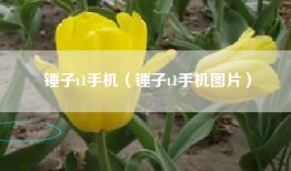 锤子t1手机（锤子t1手机图片）