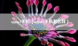 oppoa1手机（oppoa1手机怎么样）