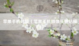 苹果手机贴膜（苹果手机摄像头要贴膜吗）