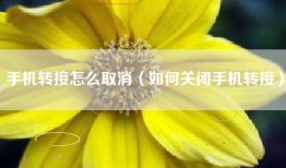 手机转接怎么取消（如何关闭手机转接）