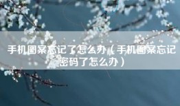 手机图案忘记了怎么办（手机图案忘记密码了怎么办）