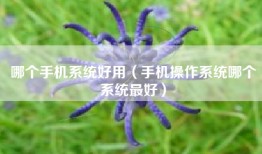 哪个手机系统好用(手机操作系统哪个系统最好)