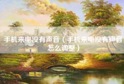手机来电没有声音（手机来电没有声音怎么调整）