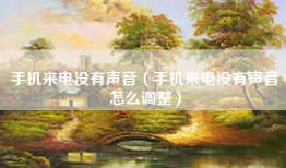 手机来电没有声音（手机来电没有声音怎么调整）
