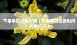 苹果手机设置时间（苹果手机设置时间段免打扰）
