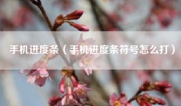 手机进度条（手机进度条符号怎么打）