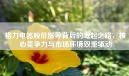 格力电器股价涨停背后的崛起之路，核心竞争力与市场环境双重驱动