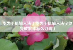 华为手机输入法（华为手机输入法字体变成繁体怎么办啊）