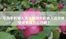 华为手机输入法（华为手机输入法字体变成繁体怎么办啊）