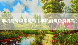 手机能降级系统吗（手机能降级刷机吗）