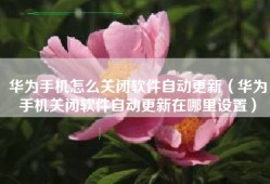华为手机怎么关闭软件自动更新（华为手机关闭软件自动更新在哪里设置）