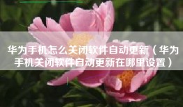 华为手机怎么关闭软件自动更新（华为手机关闭软件自动更新在哪里设置）