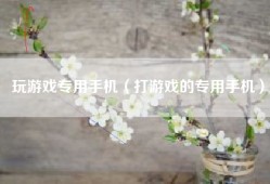玩游戏专用手机（打游戏的专用手机）