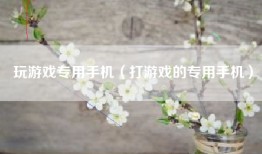玩游戏专用手机（打游戏的专用手机）