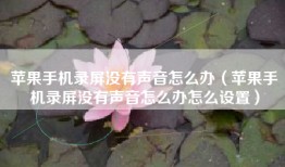 苹果手机录屏没有声音怎么办（苹果手机录屏没有声音怎么办怎么设置）