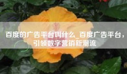 百度的广告平台叫什么_百度广告平台，引领数字营销新潮流