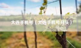 大连手机号（大连手机号开头）