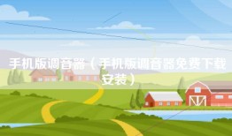 手机版调音器（手机版调音器免费下载安装）