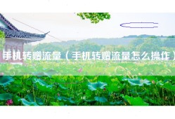 手机转赠流量（手机转赠流量怎么操作）