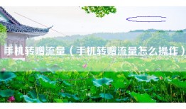 手机转赠流量（手机转赠流量怎么操作）
