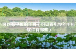 可以看电视的手机（可以看电视的手机软件有哪些）