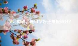 学习剪辑，是自学好还是报班好？