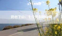 奶包下山：七个哥哥团宠我
