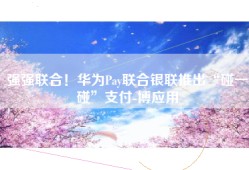 强强联合！华为Pay联合银联推出“碰一碰”支付-博应用