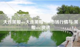 大连黑帽seo大连黑帽 SEO市场行情与(黑帽seo)资讯