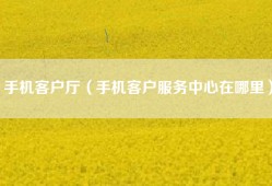 手机客户厅（手机客户服务中心在哪里）