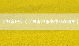 手机客户厅（手机客户服务中心在哪里）