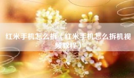 红米手机怎么拆（红米手机怎么拆机视频教程）