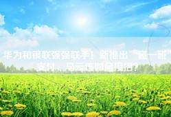 华为和银联强强联手！新推出“碰一碰”支付，马云该如何接招？