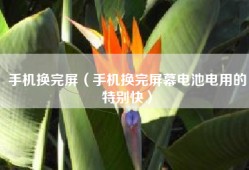 手机换完屏（手机换完屏幕电池电用的特别快）