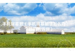 手机屏幕脏（手机屏幕脏了怎么办？一个妙招告诉你）