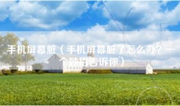 手机屏幕脏（手机屏幕脏了怎么办？一个妙招告诉你）