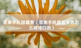 苹果手机屏幕黄（苹果手机屏幕黄色怎么调成白色）