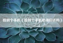 捡到个手机（捡到个手机必须归还吗）