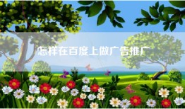 怎样在百度上做广告推广