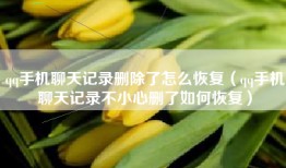 qq手机聊天记录删除了怎么恢复（qq手机聊天记录不小心删了如何恢复）