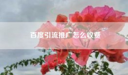 百度引流推广怎么收费